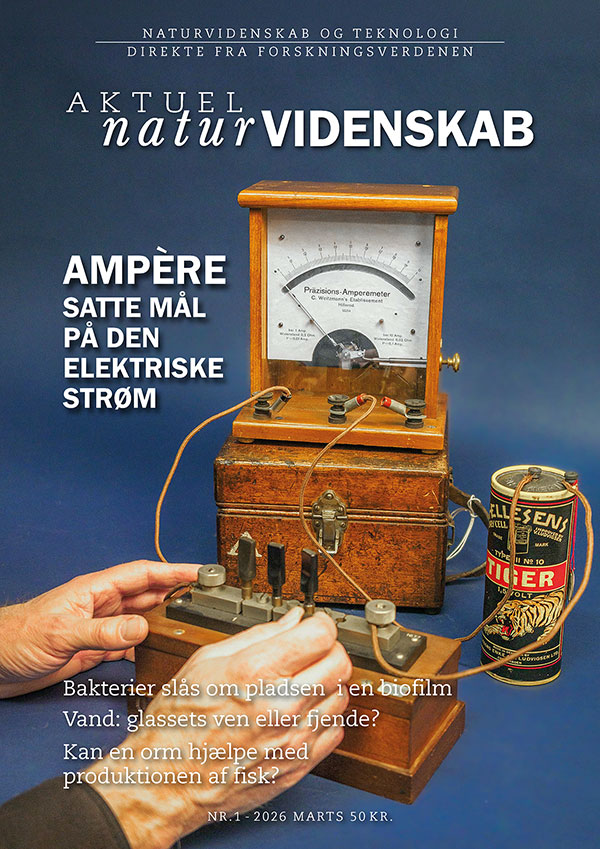 Til indholdslisten over blad nr. 1-2026