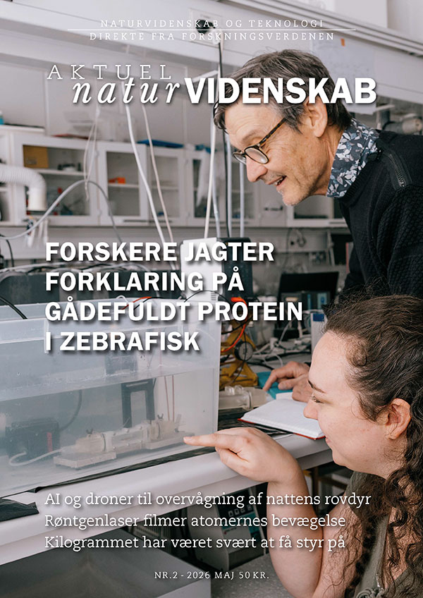 Til indholdslisten over blad nr. 2-2026