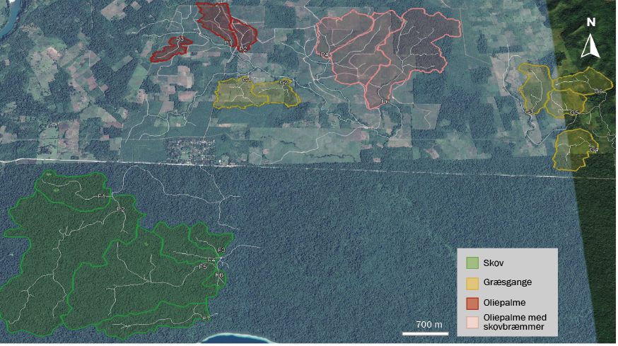 Satellitfoto af undersøgelsesområdet i Guatemala.