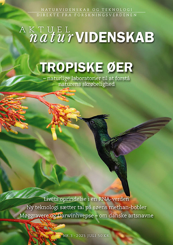 Til indholdslisten over blad nr. 3