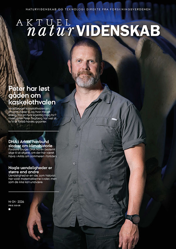 Til indholdslisten over blad nr. 4-2026