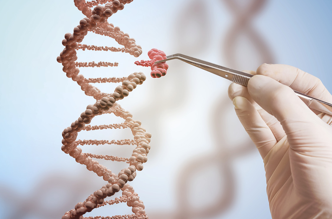 blotte Hassy Særlig CRISPR: Værktøj mod sygdom - Blad nr. 5-2022, Aktuel Naturvidenskab