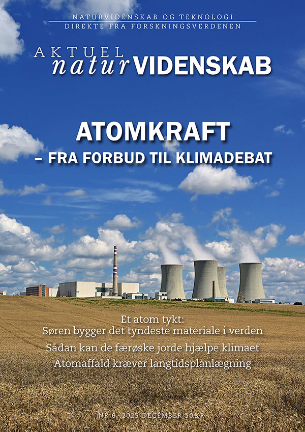 Til indholdslisten over blad nr. 6-2025