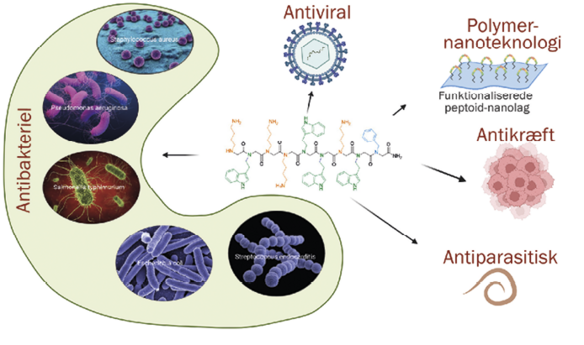 Figur, der giver overblik over, at peptoider kan anvendes antibakterielt, antiviralt, antiparasitisk, som antikræft og polymer-nanoteknologi.