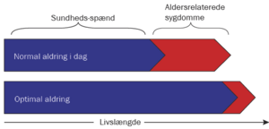 Figuren viser effekten på levetiden af et begrænset kalorieindtag for grå muselemurer. Klik for at forstørre billedet.