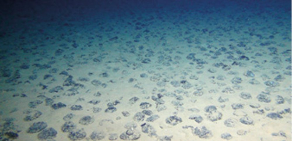 Manganknolde på havbunden