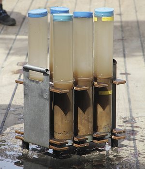 Sedimentprøver fra havbunden