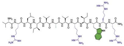 Molekylærstrukturen for peptiden IDR-1018.